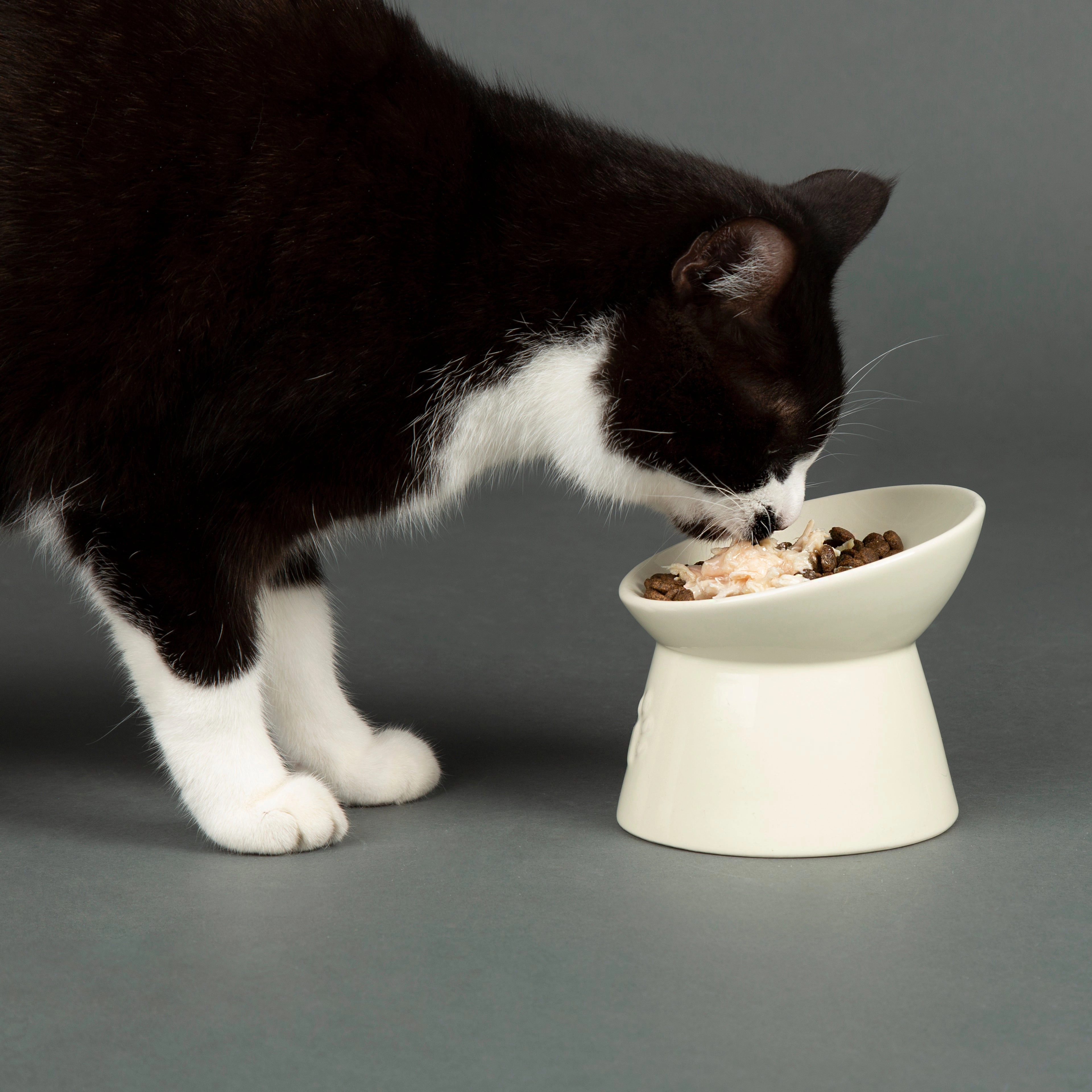 Scruffs - Icon Raised Cat Feeder Bowl Cream