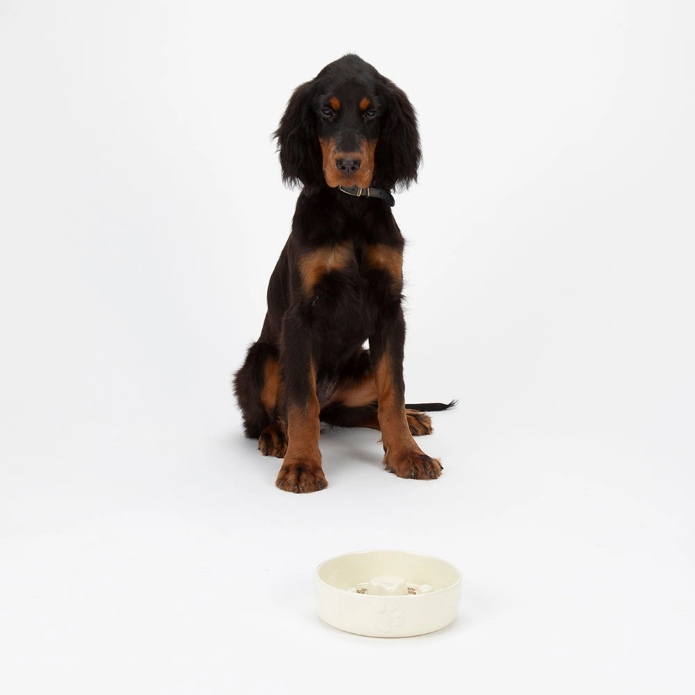 Scruffs - Icon Slow Feeder Pet Bowl Cream (16cm)