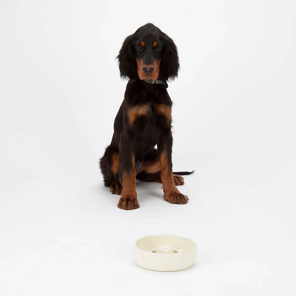 Scruffs - Icon Slow Feeder Pet Bowl Cream (20cm)