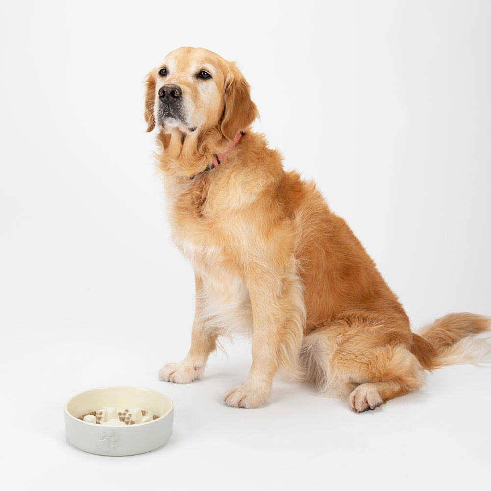 Scruffs - Icon Slow Feeder Pet Bowl Light Grey (20cm)