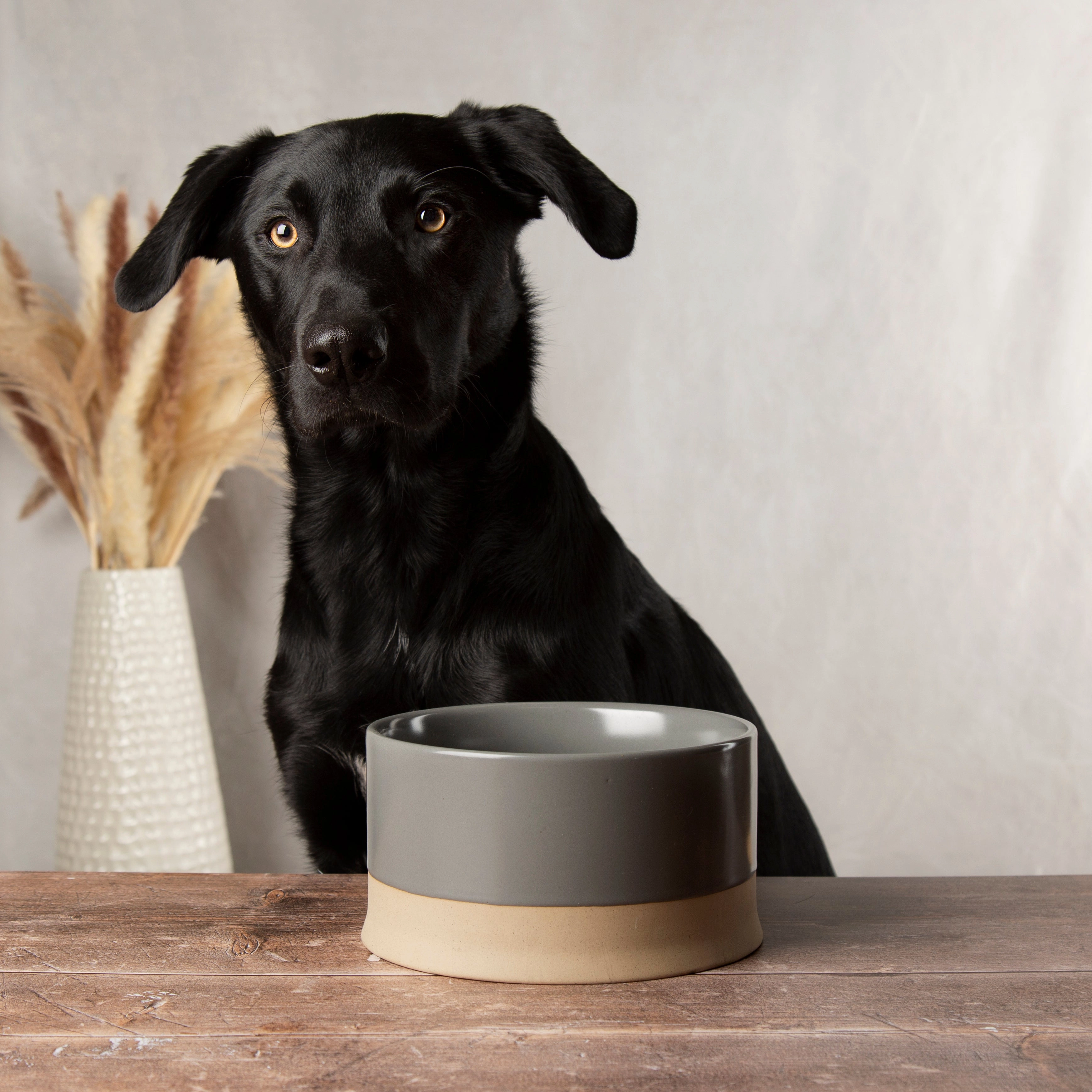 Scruffs - Scandi Water Bowl Grey (20cm)