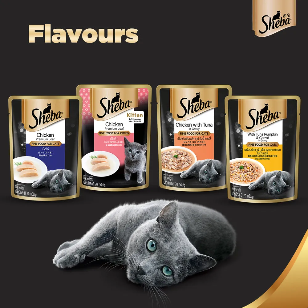 Sheba Chicken Loaf Rich Premium Adult Fine Wet Food and Chicken Flavour Irresistible All Life Stage Cat Dry Food Combo