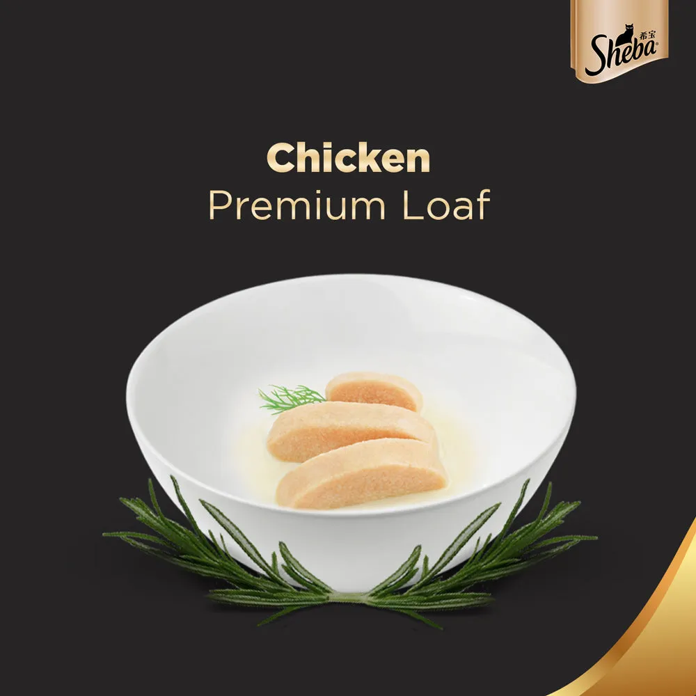 Sheba Chicken Loaf Rich Premium Adult Fine Wet Food and Chicken Flavour Irresistible All Life Stage Cat Dry Food Combo