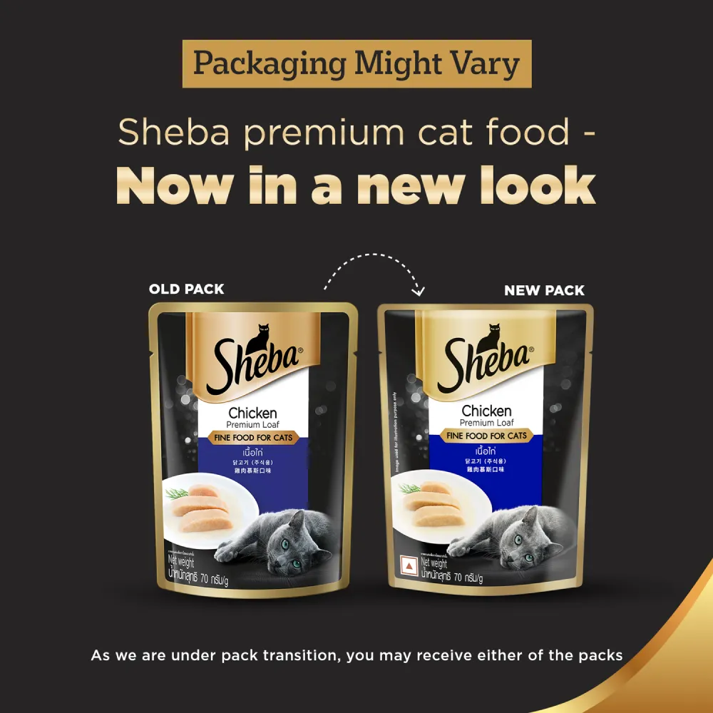 Sheba Chicken Loaf Rich Premium Adult Fine Wet Food and Chicken Flavour Irresistible All Life Stage Cat Dry Food Combo