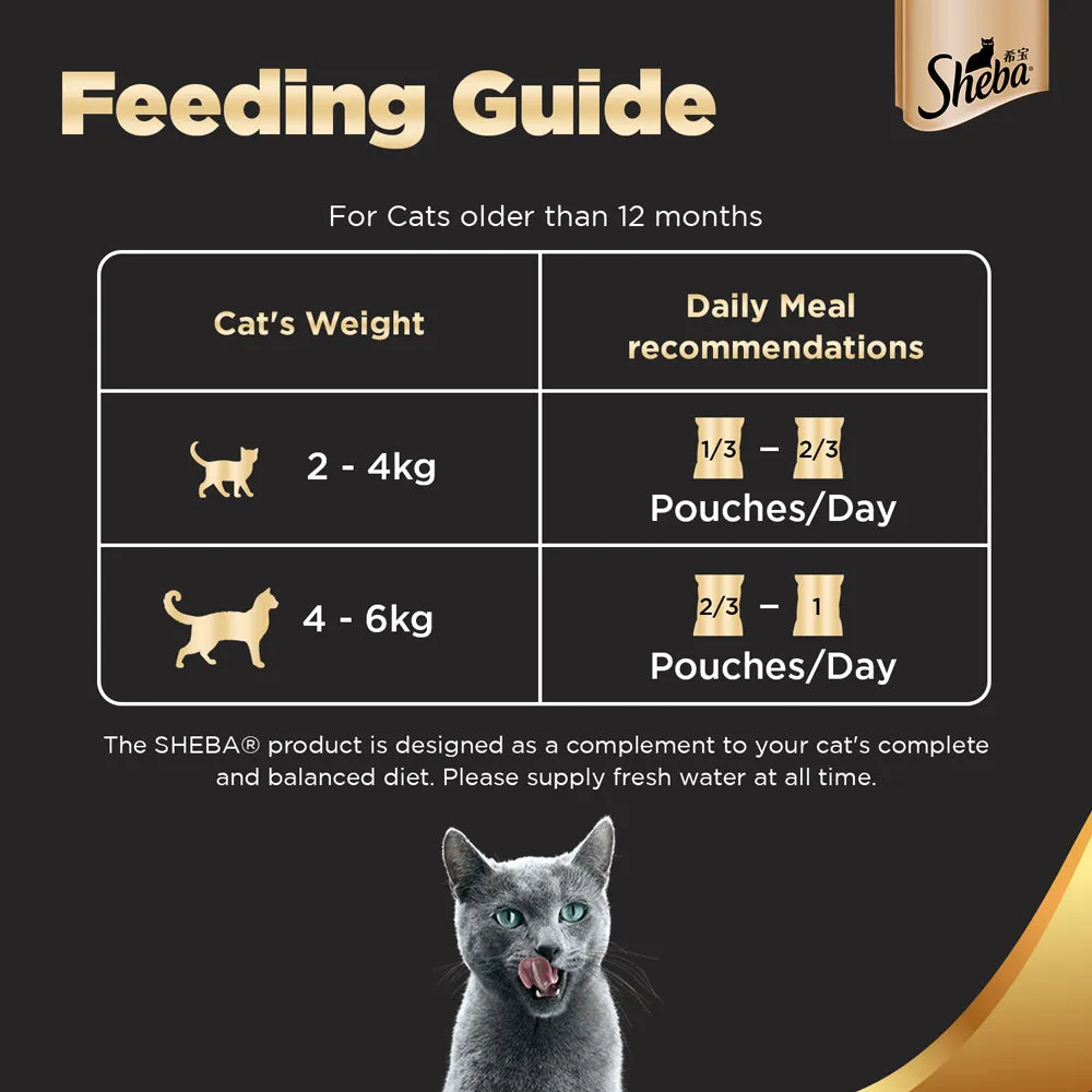 Sheba Chicken Loaf Rich Premium Adult Fine Wet Food and Chicken Flavour Irresistible All Life Stage Cat Dry Food Combo