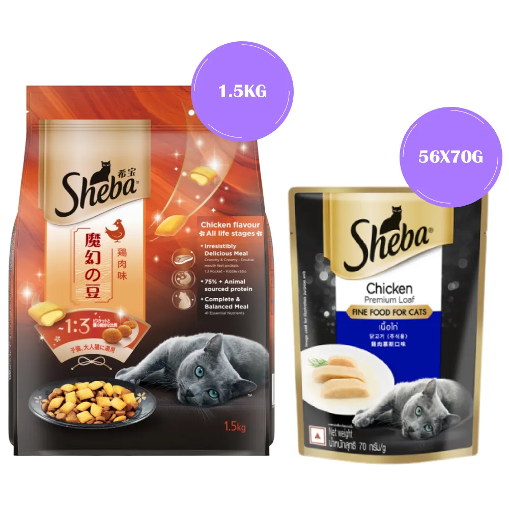Sheba Chicken Loaf Rich Premium Adult Fine Wet Food and Chicken Flavour Irresistible All Life Stage Cat Dry Food Combo