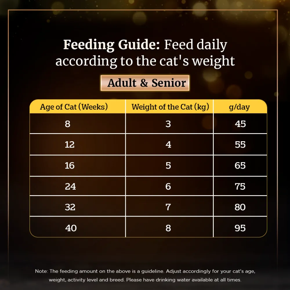 Sheba Pure Tuna Filets in Jelly Premium Cat Wet Food and Chicken Flavour Irresistible Cat Dry Food Combo