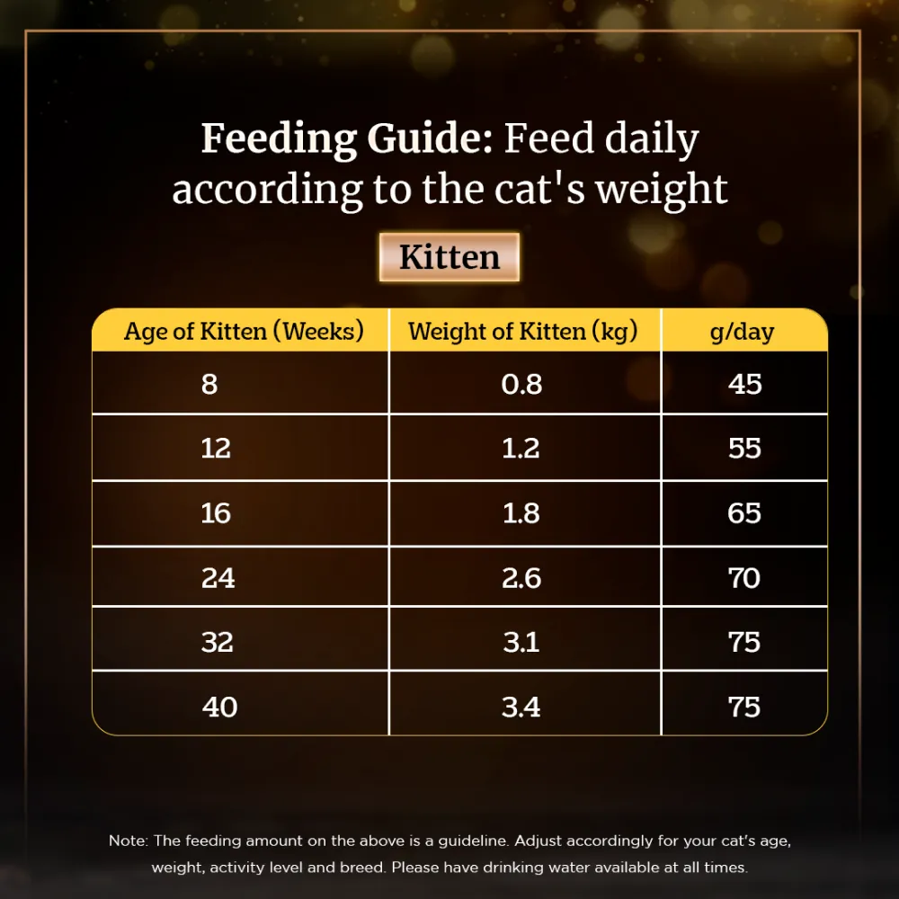 Sheba Pure Tuna Filets in Jelly Premium Cat Wet Food and Chicken Flavour Irresistible Cat Dry Food Combo