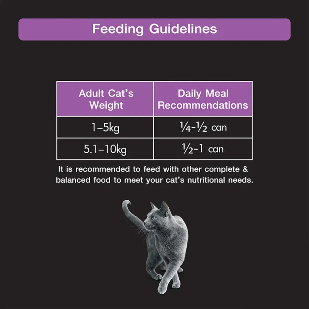 Sheba Pure Tuna Filets in Jelly Premium Cat Wet Food and Chicken Flavour Irresistible Cat Dry Food Combo