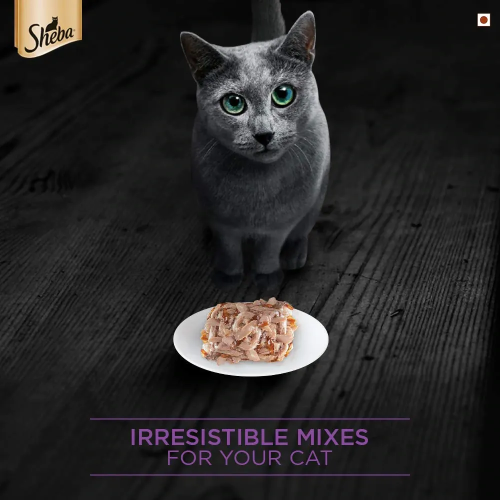 Sheba Pure Tuna Filets in Jelly Premium Cat Wet Food and Chicken Flavour Irresistible Cat Dry Food Combo