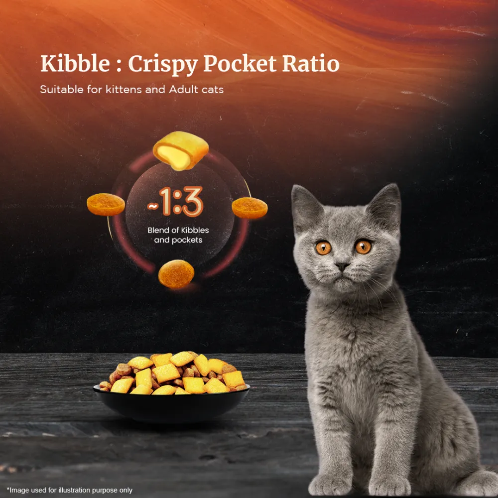 Sheba Pure Tuna Filets in Jelly Premium Cat Wet Food and Chicken Flavour Irresistible Cat Dry Food Combo