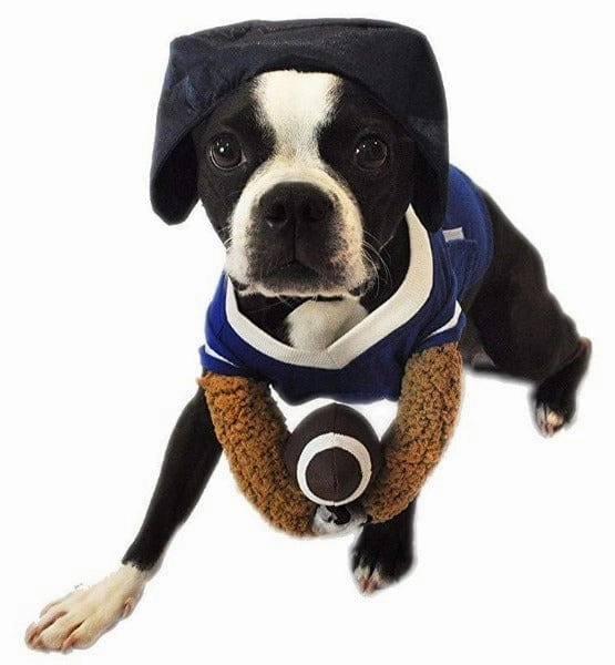 Silver Paw Football Reality 3D Outfit / Dog Jersey