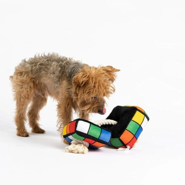 Silver Paw Robix Cube Dog Toy