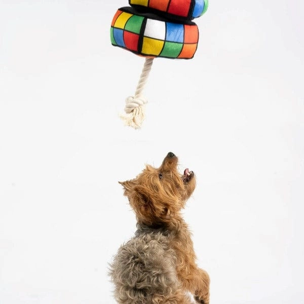 Silver Paw Robix Cube Dog Toy