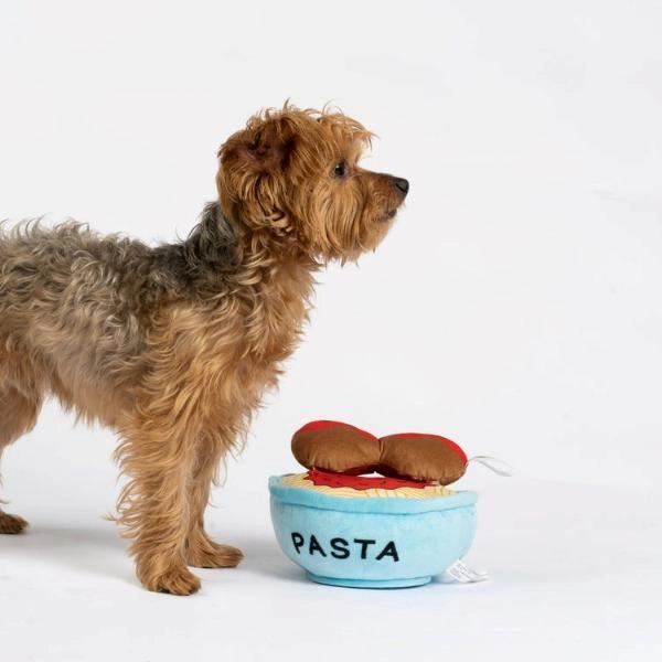 Silver Paw Spawghetti & Meatballs Dog Toy