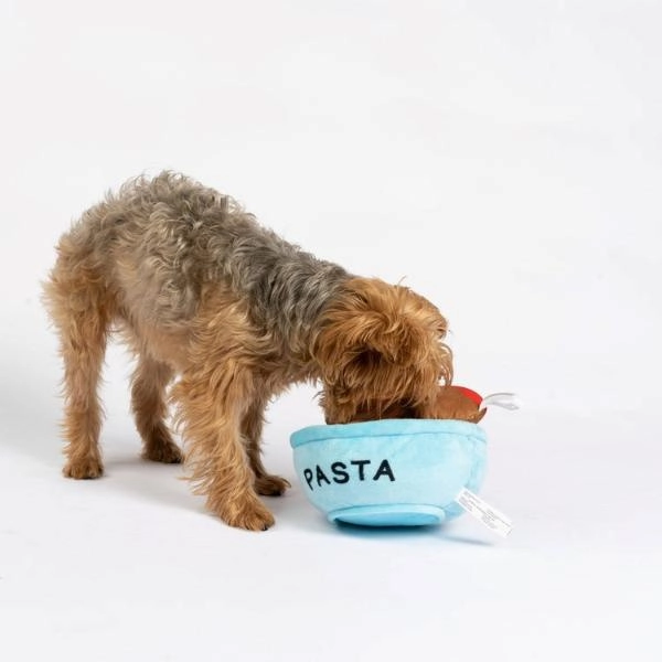 Silver Paw Spawghetti & Meatballs Dog Toy