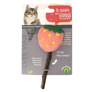 Silvervine Fruits Cat Toy