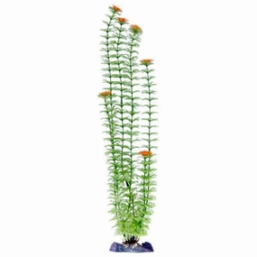 Sinker Plant Ambulia Green Super