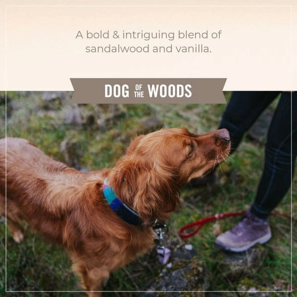 Skout's Honor Probiotic Shampoo & Conditioner; Dog of the Woods