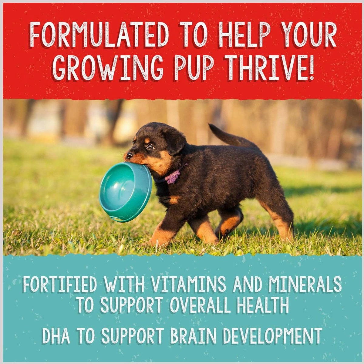 Stella & Chewy's Freeze Dried Raw Meal Mixers Grain Free Beef and Salmon Puppy Food Topper