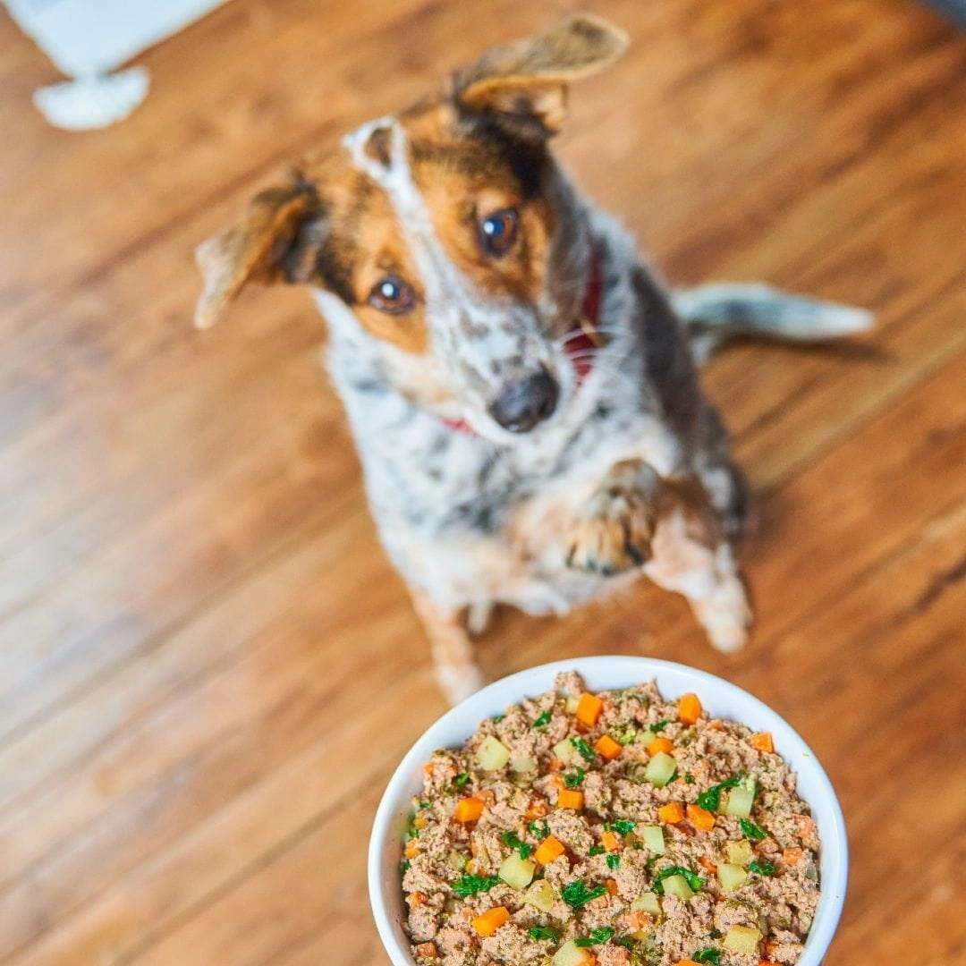 Stella & Chewy's FreshMade Beef, Barley and Turkey Gently Cooked Dog Food