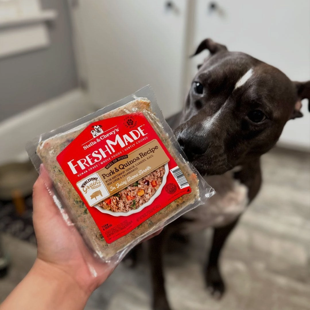 Stella & Chewy's FreshMade Pork and Quinoa Gently Cooked Dog Food