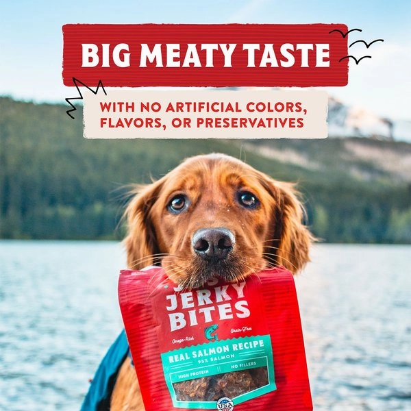 Stella & Chewy's Just Jerky Bites Real Chicken Recipe Grain-Free Dog Treats