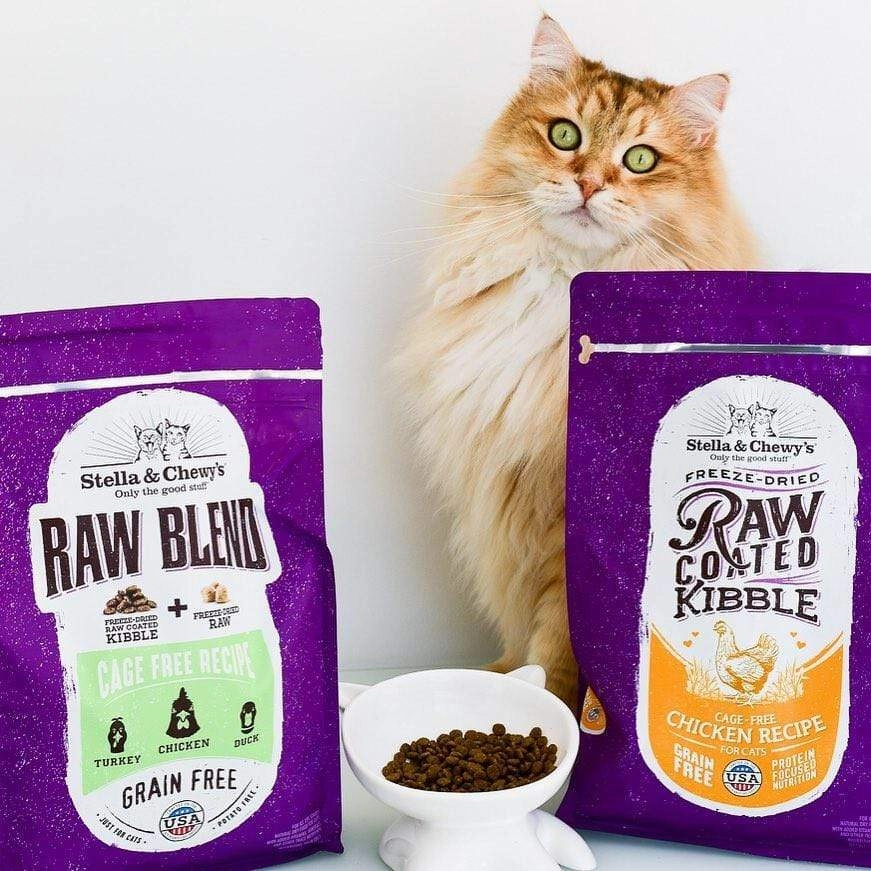 Stella & Chewy's Raw Coated Kibble Cage Free Chicken Recipe Dry Cat Food