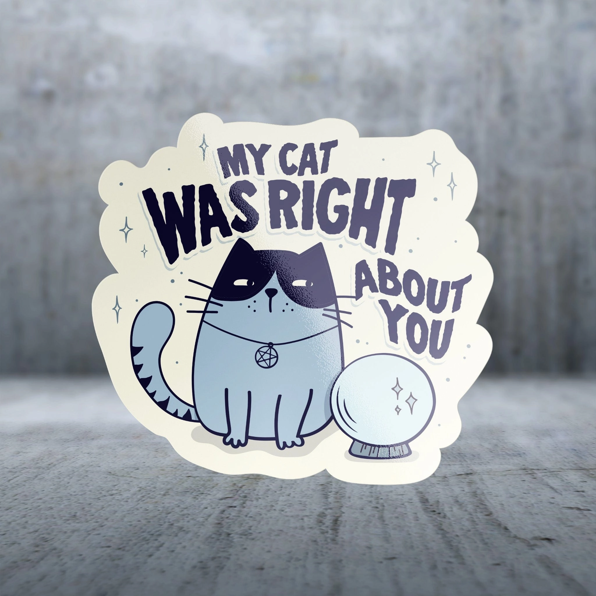 Sticker Pack Cat Sayings - Right About You; Large Sticker