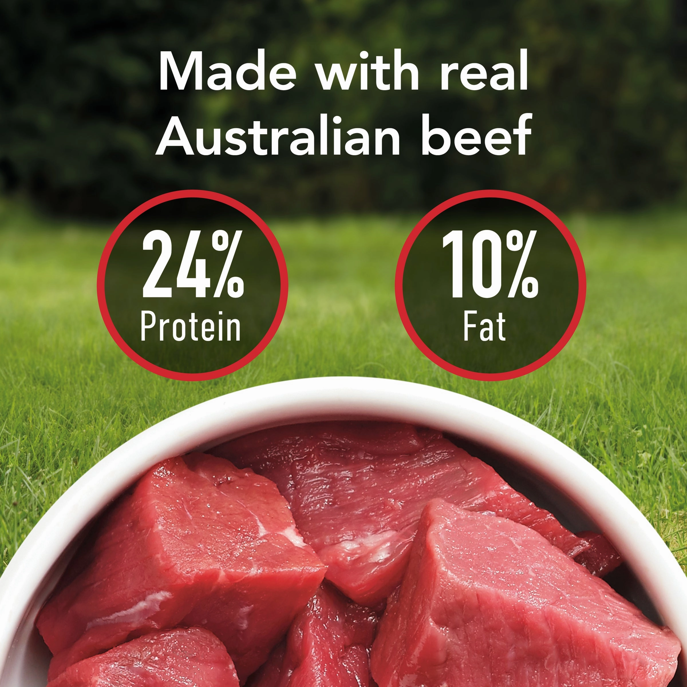 Supercoat - Adult with Beef Dog Dry Food (2.8kg)