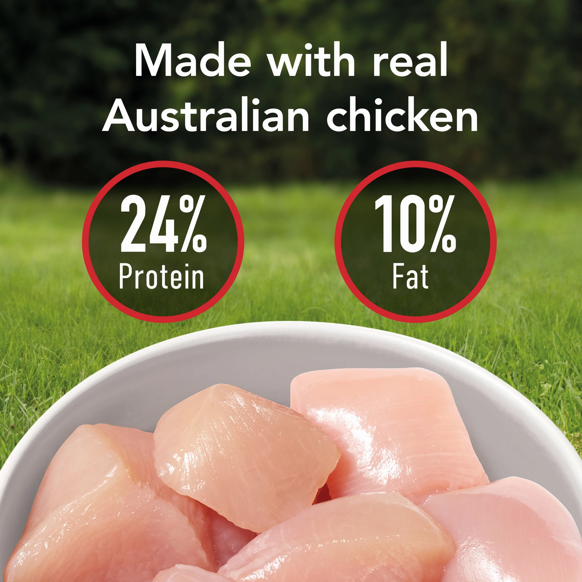 Supercoat - Adult with Chicken Dog Dry Food (18kg)
