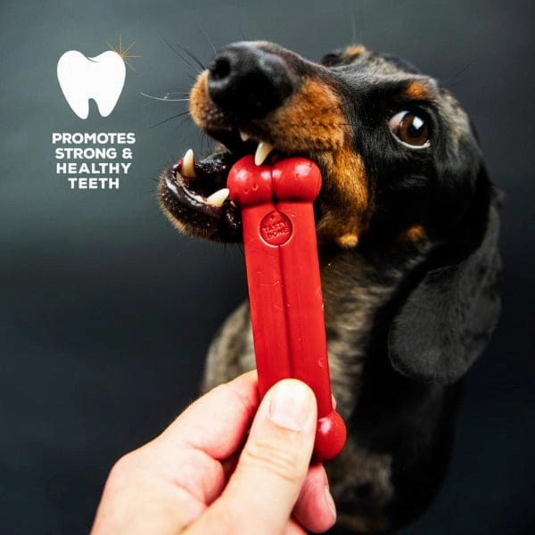 TastyBone Beef Flavour Nylon Bone for Dogs