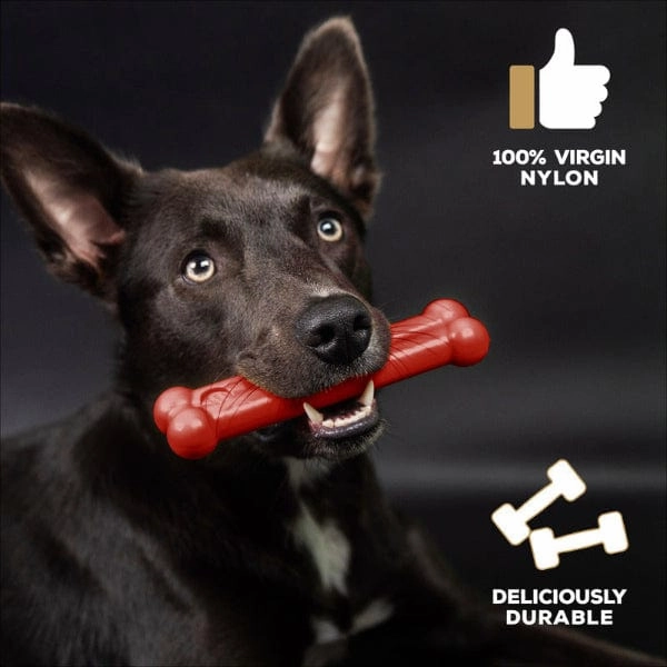 TastyBone Beef Flavour Nylon Bone for Dogs