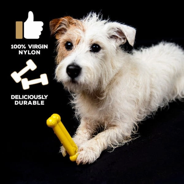 TastyBone Chicken Flavour Nylon Bone for Dogs