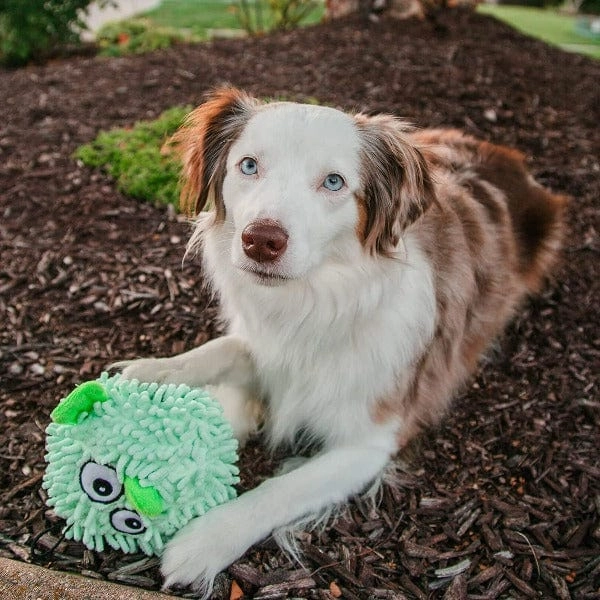 tender-tuffs Pufferfish Plush Dog Toy