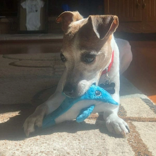 tender-tuffs Tiny Dolphin Plush Dog Toy