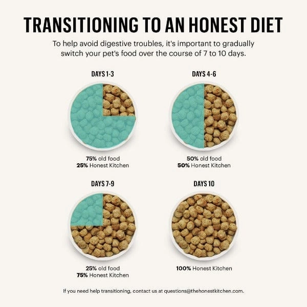 The Honest Kitchen GF Beef Whole Food Clusters Dry Dog Food