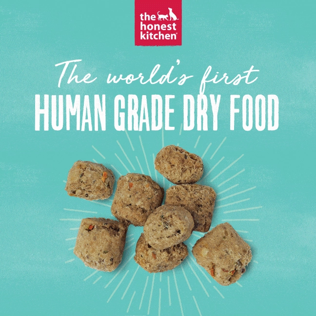 The Honest Kitchen GF Beef Whole Food Clusters Dry Dog Food