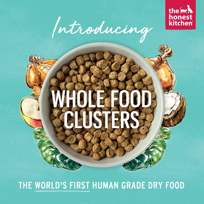 The Honest Kitchen GF Beef Whole Food Clusters Dry Dog Food
