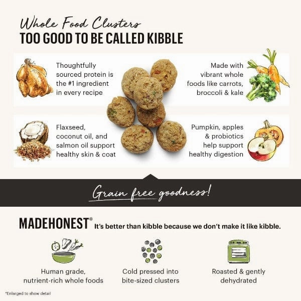 The Honest Kitchen GF Beef Whole Food Clusters Dry Dog Food