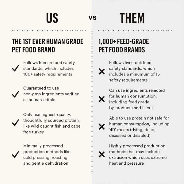 The Honest Kitchen GF Beef Whole Food Clusters Dry Dog Food