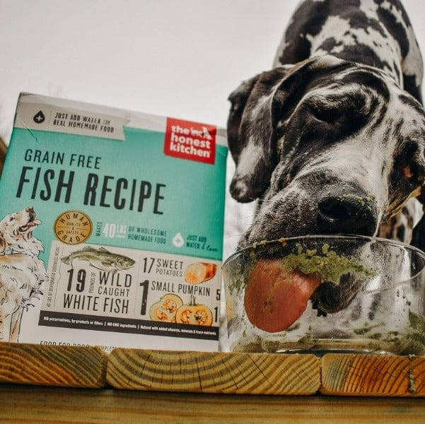 The Honest Kitchen Grain Free Fish Recipe Dehydrated Dog Food, 10lb (SPECIAL ORDER ITEM)