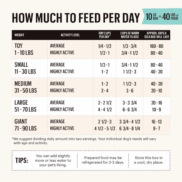 The Honest Kitchen Whole Grain Beef Recipe Dehydrated Dog Food