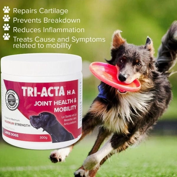 TRI-ACTA H.A. Maximum Strength Joint & Mobility Supplement for Pets