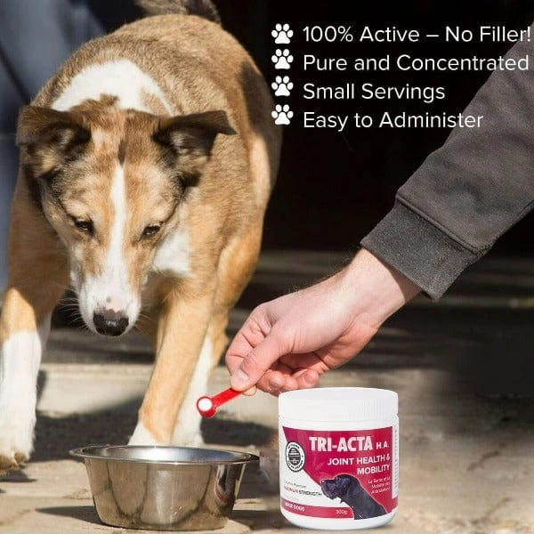 TRI-ACTA H.A. Maximum Strength Joint & Mobility Supplement for Pets