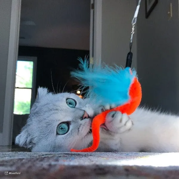 Turbo Turbo Tail Telescoping Teaser Cat Toy