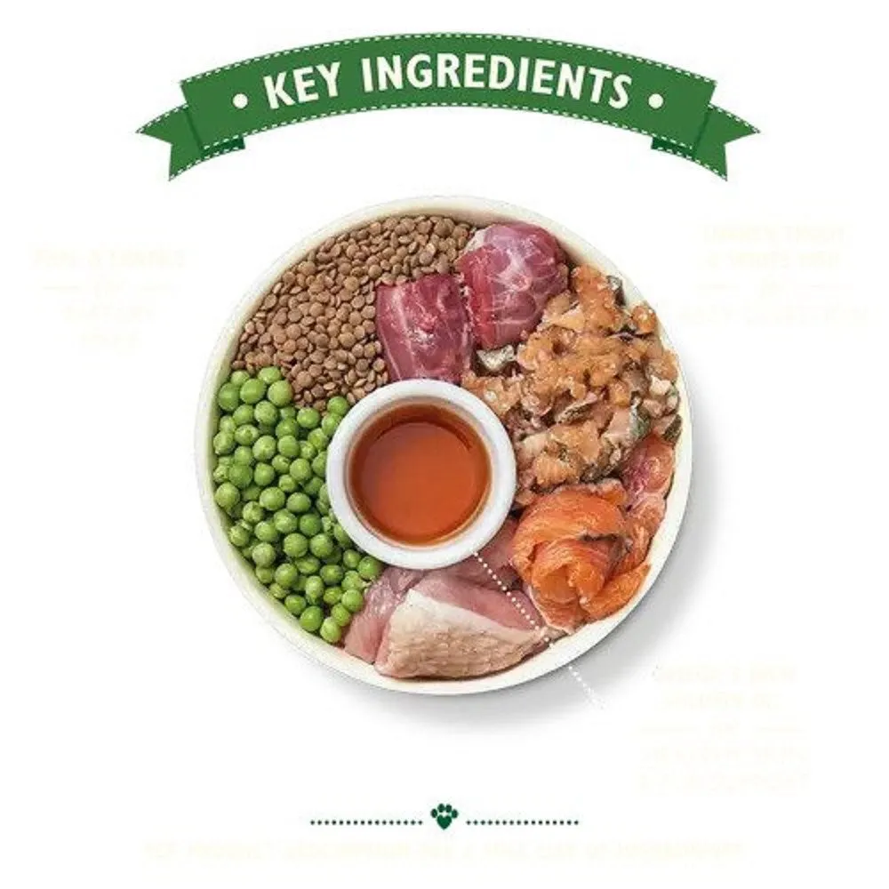 Turkey & Trout Senior Dog Dry Food