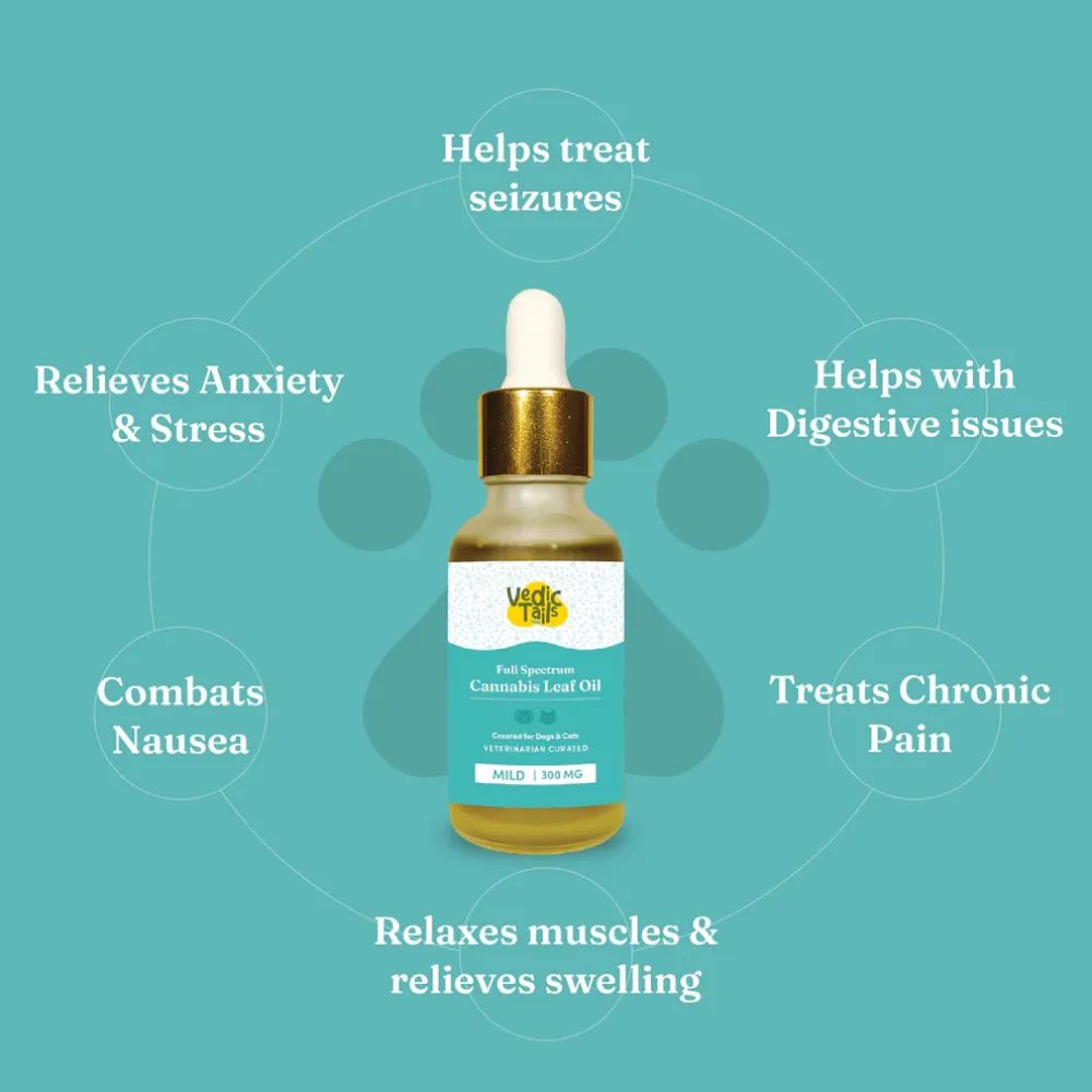 Vedic Tails Mild Cannabis Leaf Oil for Dogs and Cats