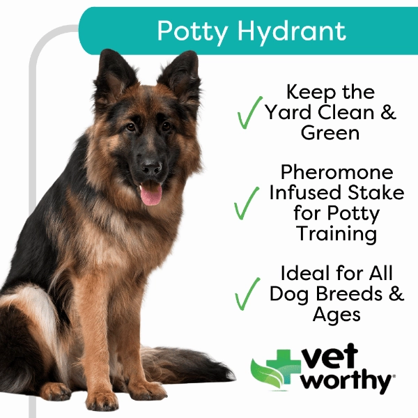 Vet Worthy Potty Hydrant for Dogs