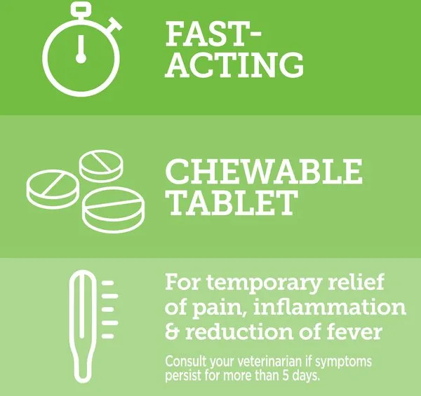 Vetality Canine Aspirin Pain Relief Supplement for Dogs
